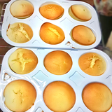 烘烤&冷冻(多功能) Multi-functional